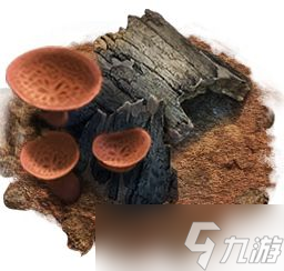 《小小蚁国》工蚁作用介绍