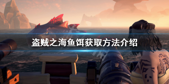 开服表