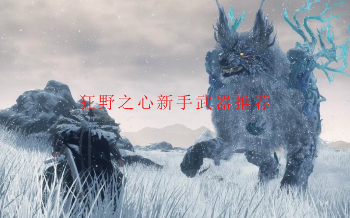 狂野之心海报图